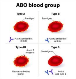 Blood group test